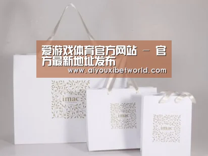 项目名称十一