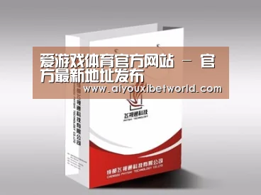 项目名称十三